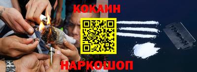 крисы Партизанск