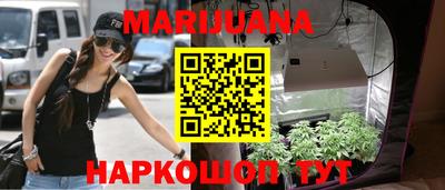 крисы Партизанск