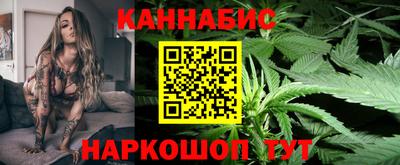 крисы Партизанск
