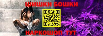 крисы Партизанск