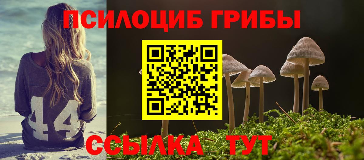 Морозовск  Галлюциногенные грибы Psilocybe  купить   Вход с VPN 